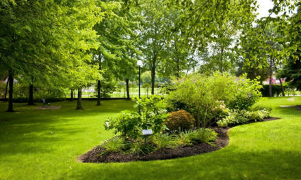 10 najważniejszych czynników do rozważenia podczas remontu ogrodu z roślinami ozdobnymi